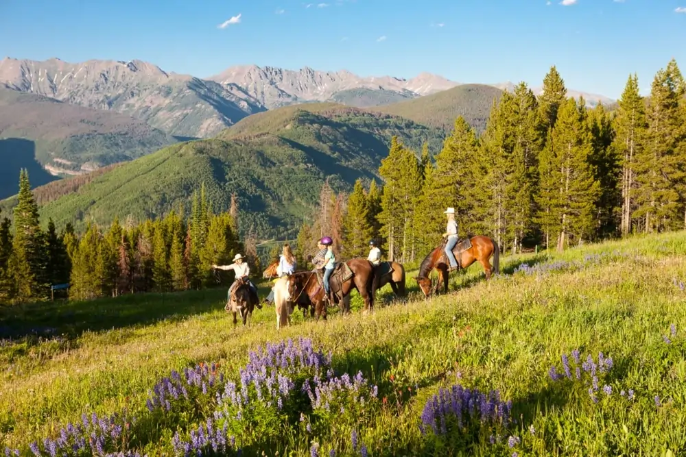 Things To Do Horseback Riding
